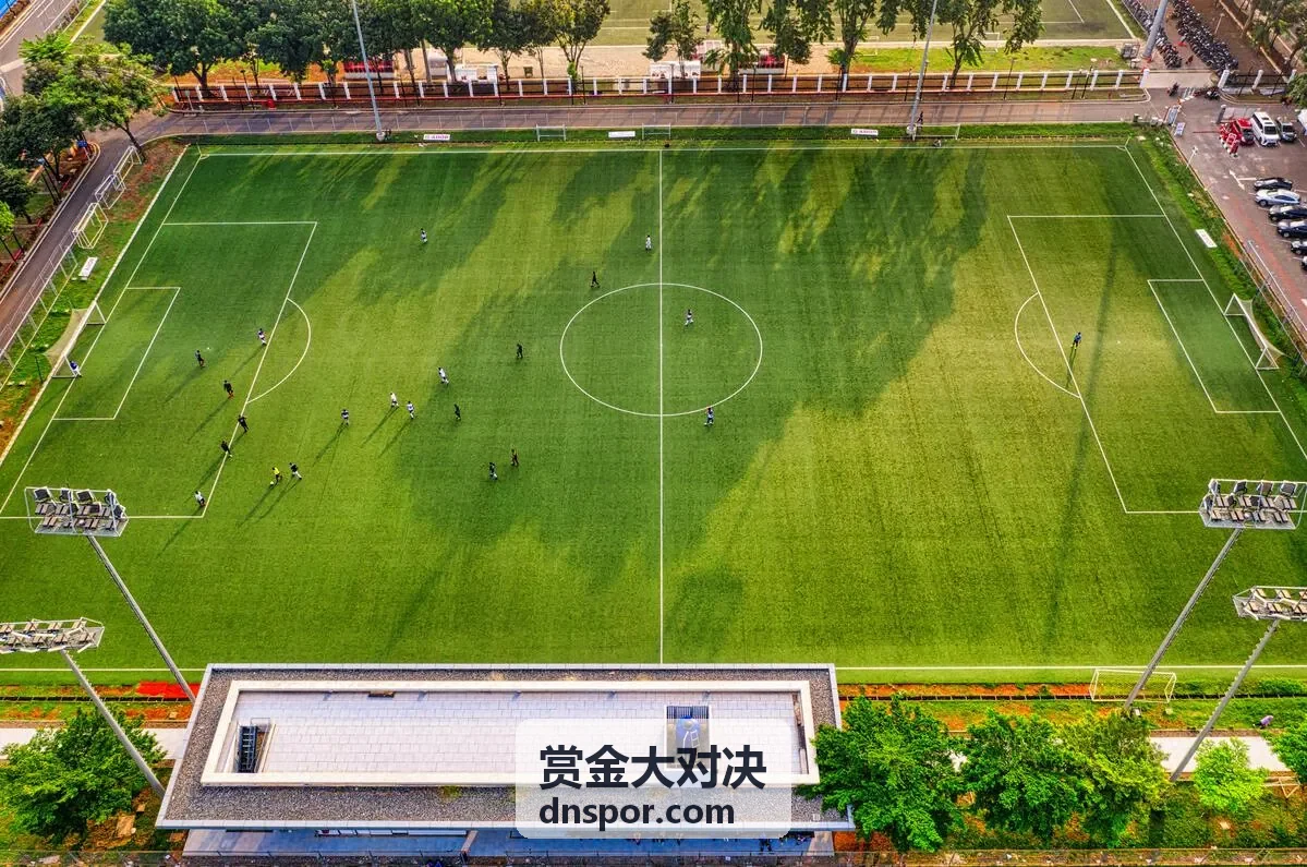 赏金大对决赏金池数据