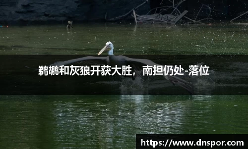 鹈鹕和灰狼开获大胜，南担仍处-落位