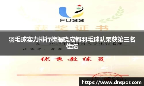 羽毛球实力排行榜揭晓成都羽毛球队荣获第三名佳绩